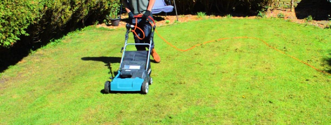 Why Your Lawn Needs to be Scarified